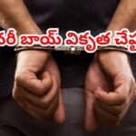 ఇలా తయారయ్యారేంట్రా! డెలివరీ బాయ్ వికృత చేష్టలు.. వాష్‌రూమ్ సాకుతో ఇంట్లోకి దూరి..