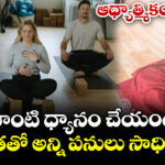 ఆధ్యాత్మికం:  ఇలాంటి ధ్యానం చేయండి.. ఏకాగ్రతతో అన్ని పనులు సాధిస్తారు..