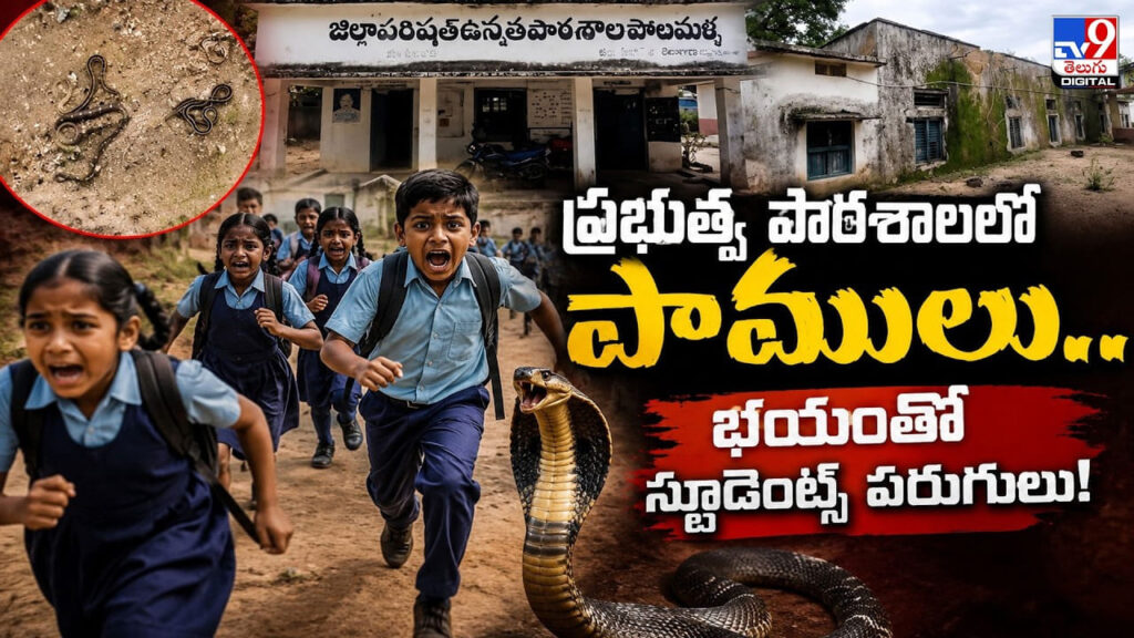 ప్రభుత్వ పాఠశాలలో పాములు.. భయంతో స్టూడెంట్స్ పరుగులు!