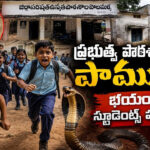 ప్రభుత్వ పాఠశాలలో పాములు.. భయంతో స్టూడెంట్స్ పరుగులు!