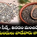 చియా సీడ్స్.. తినడం మంచిదే కానీ.. ఈ మందులు వాడేవారు జాగ్రత్త !