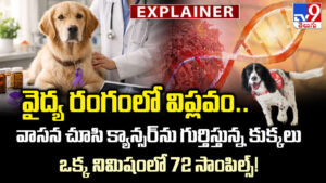 వైద్య రంగంలో విప్లవం.. వాసన చూసి క్యాన్సర్‌ను గుర్తిస్తున్న కుక్కలు.. ఒక్క నిమిషంలో 72 సాంపిల్స్‌