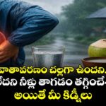 వాతావరణం చల్లగా ఉందని, దప్పిక లేదని నీళ్లు తాగడం తగ్గించేశారా..? అయితే మీ కిడ్నీలు..