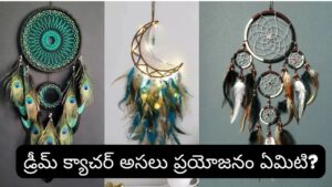 Vastu Tips: డ్రీమ్ క్యాచర్‌కు కూడా వాస్తు ఉందా? ఏ దిశలో ఉంచితే శుభం, ఏ దిశలో పెట్టకూడదో తెలుసుకోండి