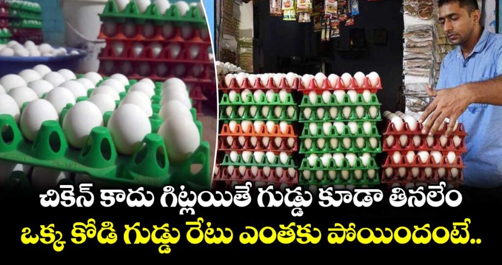 చికెన్ కాదు గిట్లయితే గుడ్డు కూడా తినలేం.. ఒక్క కోడి గుడ్డు రేటు ఎంతకు పోయిందంటే..