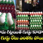 చికెన్ కాదు గిట్లయితే గుడ్డు కూడా తినలేం.. ఒక్క కోడి గుడ్డు రేటు ఎంతకు పోయిందంటే..