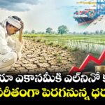 ఇండియా ఎకానమీకి  ఎల్నినో కష్టాలు!..విపరీతంగా పెరగనున్న ధరలు