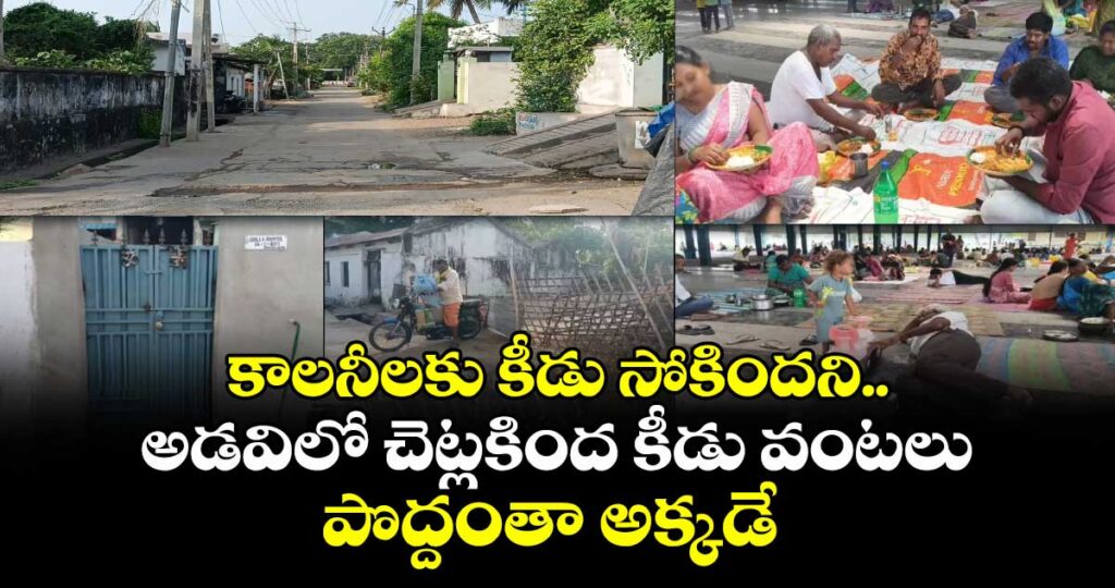 కాలనీలకు కీడు సోకిందని..అడవిలో చెట్లకింద కీడు వంటలు..పొద్దంతా అక్కడే