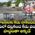కాలనీలకు కీడు సోకిందని..అడవిలో చెట్లకింద కీడు వంటలు..పొద్దంతా అక్కడే