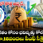 EPFలో కొత్త ఆప్షన్.. ఎక్కువ జీతం కోసం భవిష్యత్తు కోల్పోతారా? రూ.18వందలు పీఎఫ్ సీక్రెట్