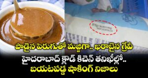 పాడైన పెరుగుతో మజ్జిగా.. ఖరాబైన గ్రేవీ.. హైదరాబాద్ క్లౌడ్ కిచెన్‌ తనిఖీల్లో  బయటపడ్డ షాకింగ్ నిజాలు!