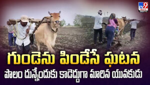 Maharashtra: గుండెను పిండేసే ఘటన పొలం దున్నేందుకు కాడెద్దుగా మారిన యువకుడు
