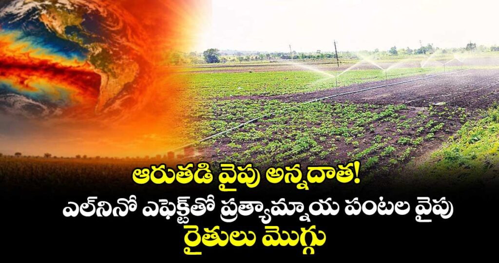 ఆరుతడి వైపు అన్నదాత! ఎల్నినో ఎఫెక్ట్⁭తో ప్రత్యామ్నాయ పంటల వైపు రైతులు మొగ్గు