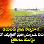 ఆరుతడి వైపు అన్నదాత! ఎల్నినో ఎఫెక్ట్⁭తో ప్రత్యామ్నాయ పంటల వైపు రైతులు మొగ్గు