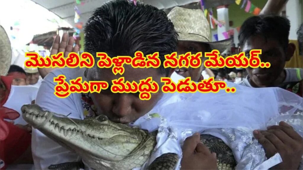 ఓరీ దేవుడో ఇదెక్కడి విడ్డూరం.. ఆడపిల్లే దొరకనట్టు మొసలిని పెళ్లాడిన మేయర్.. తెల్లటి గౌను వేసి ఘనంగా వివాహ వేడుక
