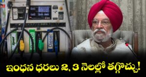 ఇంధన ధరలు 2-, 3 నెలల్లో తగ్గొచ్చు!