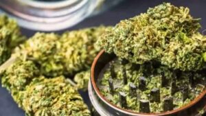 Ganja Racket : మెడిసిన్ పేరుతో గంజాయి.. పోస్టులో డోర్ డెలివరీ.!