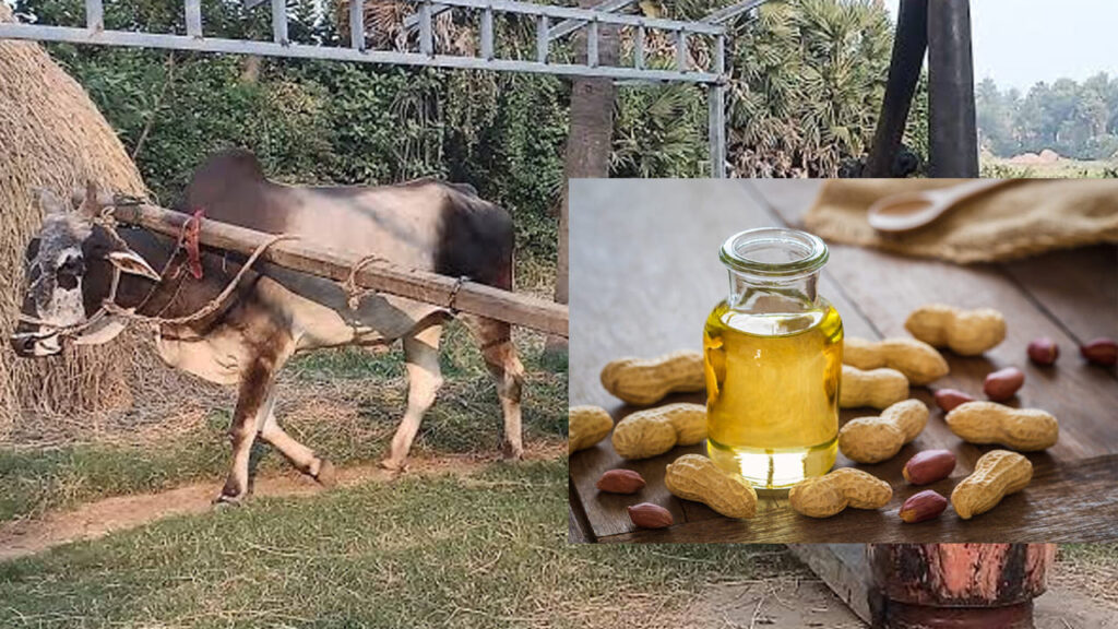 గానుగ ఆడించిన నూనెను వంటల్లో వాడొచ్చా? ఓల్డ్ ఈజ్ గోల్డ్ అనే సర్టిఫికెట్ దీనికి ఇవ్వొచ్చా..?