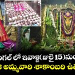 వరంగల్ లో ఇవాళ్టి(జులై 15)నుంచి..భద్రకాళి అమ్మవారి శాకాంబరి ఉత్సవాలు