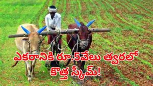 Telangana: రైతన్నలకు సూపర్ గుడ్‌న్యూస్.. ఆ పంటలు వేస్తే.. ఎకరానికి రూ.5వేల ప్రోత్సాహకం!