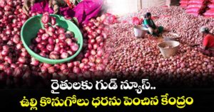 రైతులకు గుడ్ న్యూస్.. ఉల్లి కొనుగోలు ధరను పెంచిన కేంద్రం 