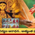 గుప్త నవరాత్రుల్లో ఈ వస్తువులను దానం చేయండి.. అమ్మవారి అనుగ్రహంతో నెరవేరని కోరికలు కూడా తీరుతాయట!