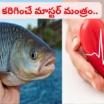 కొలెస్ట్రాల్‌ను కంట్రోల్ చేసి గుండెను కాపాడే మాస్టర్ మంత్రం.. చేపలు తింటే శరీరంలో జరిగే మిరాకిల్స్ ఇవే..