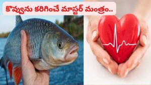 కొలెస్ట్రాల్‌ను కంట్రోల్ చేసి గుండెను కాపాడే మాస్టర్ మంత్రం.. చేపలు తింటే శరీరంలో జరిగే మిరాకిల్స్ ఇవే..