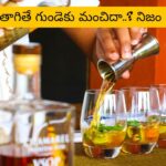 Alcohol: రోజూ కొద్దిగా తాగితే గుండెకు మంచిదా? కొత్త అధ్యయనంలో తేలింది ఇదే..