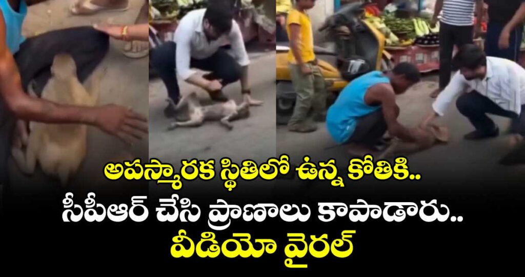 అపస్మారక స్థితిలో ఉన్న కోతికి.. సీపీఆర్ చేసి ప్రాణాలు కాపాడారు.. వీడియో వైరల్ 