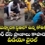 అపస్మారక స్థితిలో ఉన్న కోతికి.. సీపీఆర్ చేసి ప్రాణాలు కాపాడారు.. వీడియో వైరల్ 