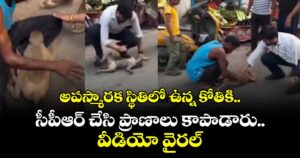 అపస్మారక స్థితిలో ఉన్న కోతికి.. సీపీఆర్ చేసి ప్రాణాలు కాపాడారు.. వీడియో వైరల్ 