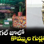 వరంగల్ జూలో కొమ్ముల గుడ్లగూబ !