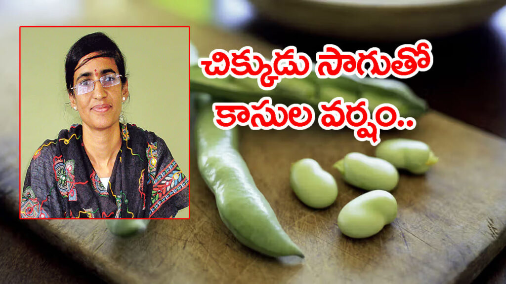 AP సైంటిస్ట్‌కు రూ.3.6 కోట్ల డెన్మార్క్ ఫెలోషిప్.. Fava Beans సాగుతో కాసుల పంట