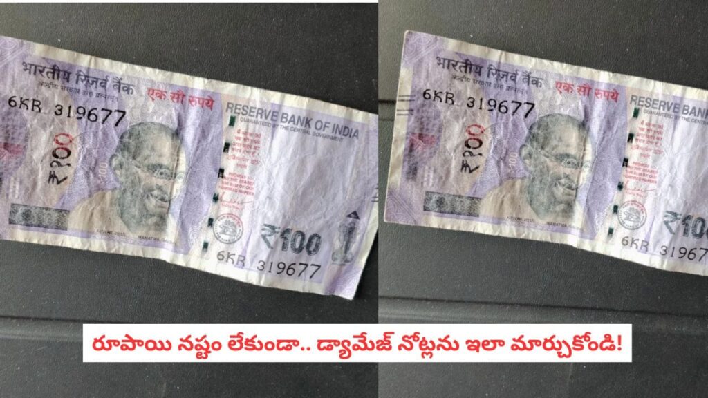 Bank Rules: వర్షంలో తడిసిన, చిరిగిన నోట్లను బ్యాంకులు తీసుకుంటాయా?.. ఆర్‌బీఐ రూల్స్ ఇవే!