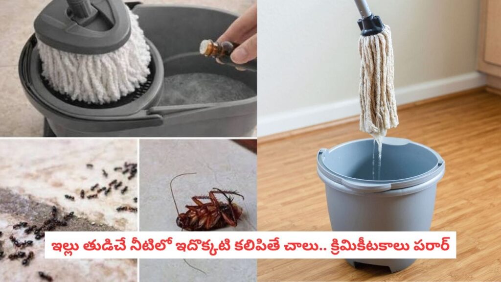 Pest Control Hacks: వర్షాకాలంలో ఇళ్లలోకి వచ్చే కీటకాలు, బొద్దింకలకు చెక్.. కెమికల్ వాడకుండానే ఇల్లంతా క్లీన్!