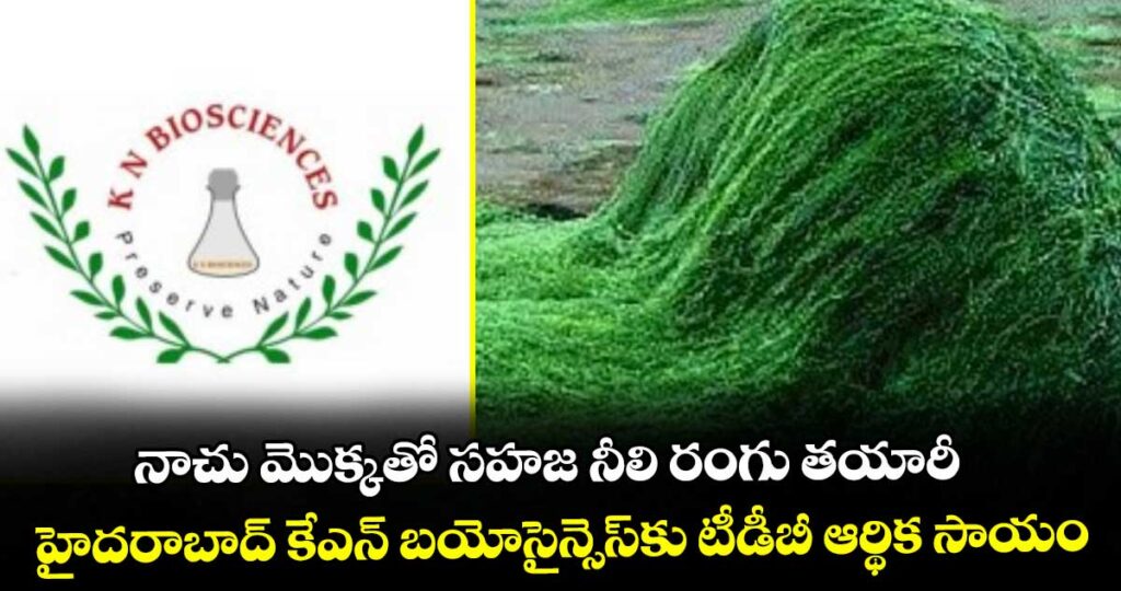 నాచు మొక్కతో సహజ నీలి రంగు తయారీ..హైదరాబాద్ కేఎన్ బయోసైన్సెస్‌‌కు టీడీబీ ఆర్థిక సాయం