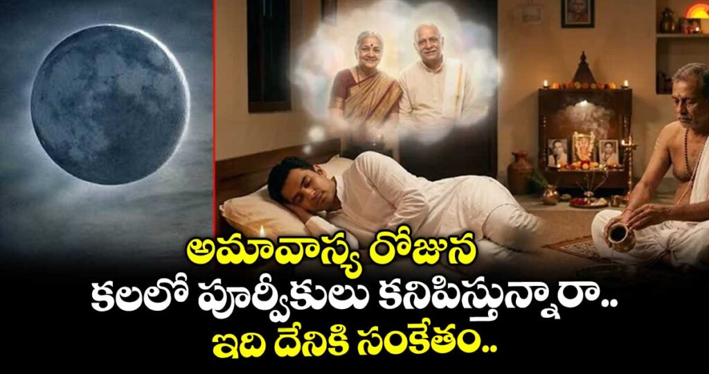 అమావాస్య రోజున కలలో పూర్వీకులు కనిపిస్తున్నారా.. ఇది దేనికి సంకేతం..