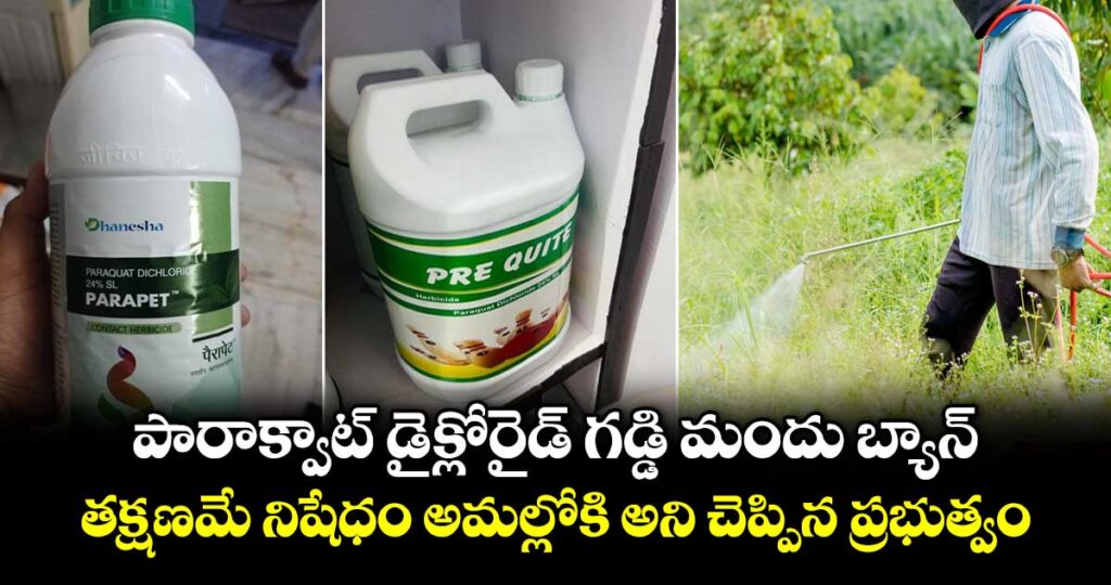 పారాక్వాట్‌ డైక్లోరైడ్‌ గడ్డి మందు బ్యాన్.. తక్షణమే నిషేధం అమల్లోకి అని చెప్పిన ప్రభుత్వం
