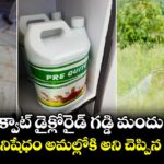 పారాక్వాట్‌ డైక్లోరైడ్‌ గడ్డి మందు బ్యాన్.. తక్షణమే నిషేధం అమల్లోకి అని చెప్పిన ప్రభుత్వం