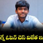 లా ప్లాగ్నే ఓపెన్‌‌‌‌ చెస్‌‌‌‌ విజేత ఇనియన్‌‌‌‌