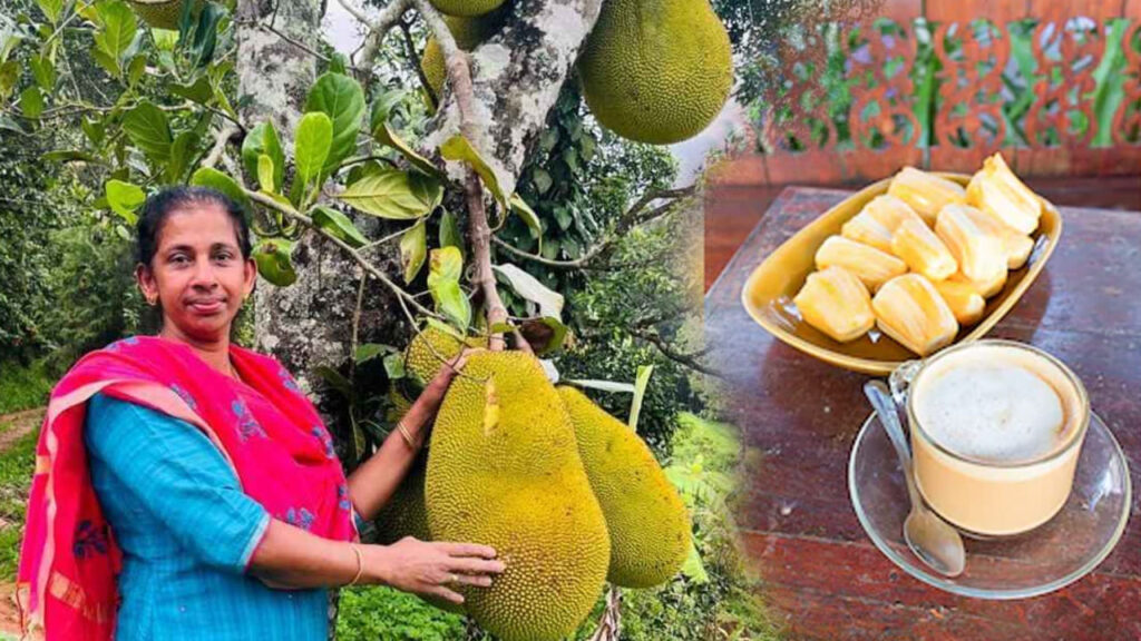 వ్యర్థాల నుంచి కోట్లాది రూపాయల వ్యాపారం.. పనస గింజలతో కాఫీ తయారు చేసి అదరగొడుతున్న కేరళ మహిళ!