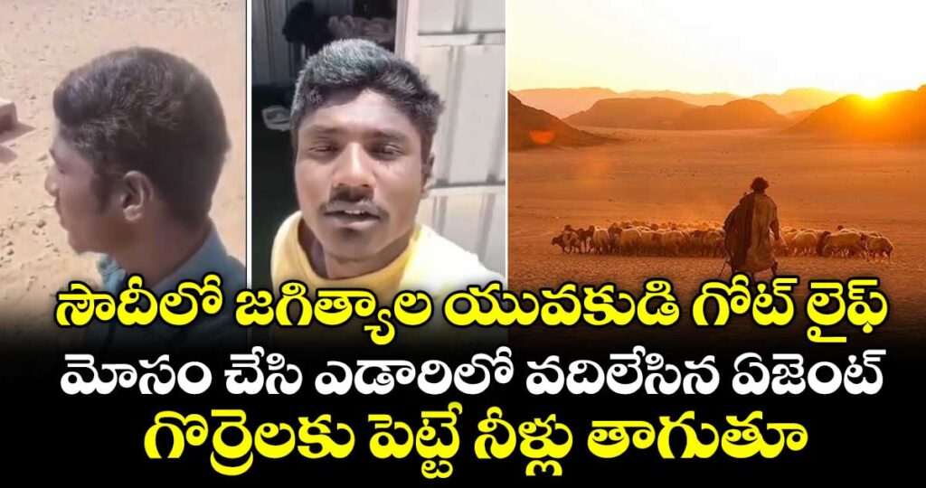 సౌదీలో జగిత్యాల యువకుడి గోట్ లైఫ్.. మోసం చేసి ఎడారిలో వదిలేసిన ఏజెంట్.. గొర్రెలకు పెట్టే నీళ్లు తాగుతూ..