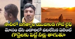 సౌదీలో జగిత్యాల యువకుడి గోట్ లైఫ్.. మోసం చేసి ఎడారిలో వదిలేసిన ఏజెంట్.. గొర్రెలకు పెట్టే నీళ్లు తాగుతూ..