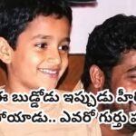 Jr NTR: ఎన్టీఆర్‌తో ఉన్న ఈ పిల్లోడిని గుర్తుపట్టారా? ఇప్పుడు టాలీవుడ్ ఫేమస్ హీరో.. అమ్మాయిలు పడి చస్తారు