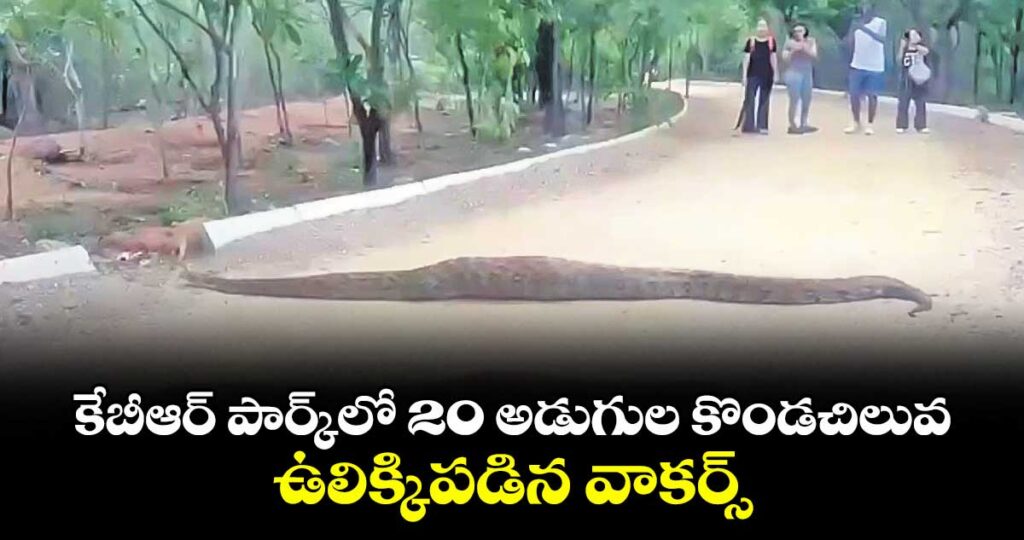 కేబీఆర్ పార్క్‌‌లో 20 అడుగుల కొండచిలువ..ఉలిక్కిపడిన వాకర్స్