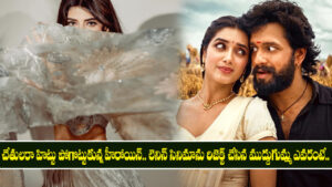 Lenin: చేతులరా హిట్టు పోగొట్టుకున్న హీరోయిన్.. లెనిన్ సినిమాను రిజెక్ట్ చేసిన ముద్దుగుమ్మ ఎవరంటే..