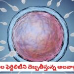 Infertility: స్పెర్మ్ కౌంట్ హఠాత్తుగా పడిపోతోందా?.. పురుషుల సంతానోత్పత్తి ప్రధాన శత్రువులివే