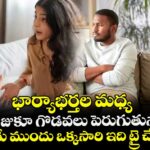 భార్యాభర్తల మధ్య రోజురోజుకూ గొడవలు పెరుగుతున్నాయా ? విడిపోయే ముందు ఒక్కసారి ఇది ట్రై చేయండి!