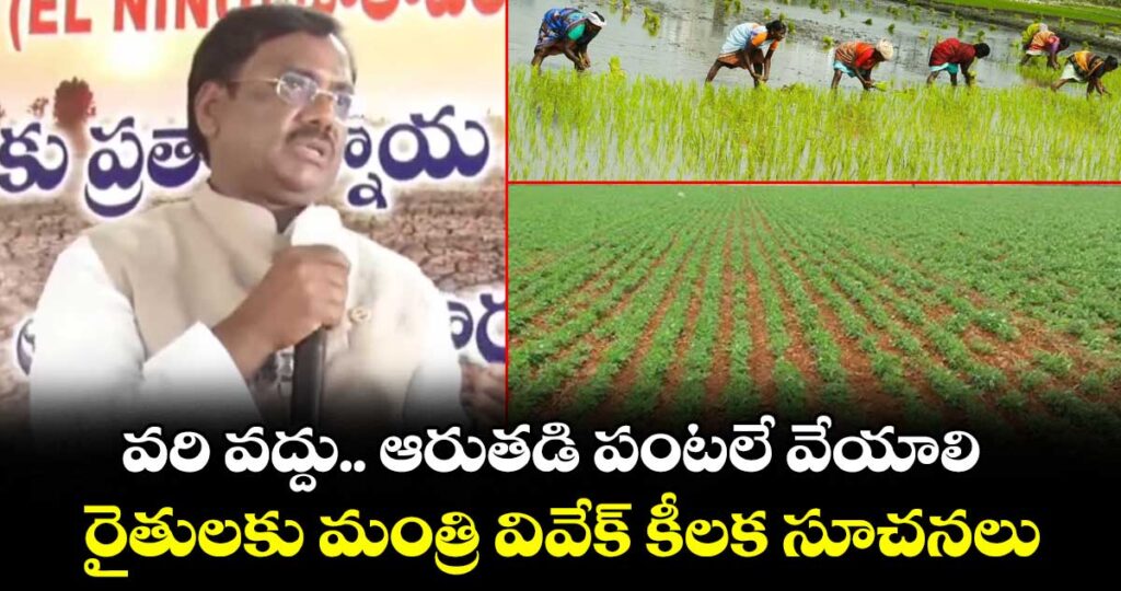 వరి వద్దు.. ఆరుతడి పంటలే వేయాలి..  రైతులకు మంత్రి వివేక్ కీలక సూచనలు